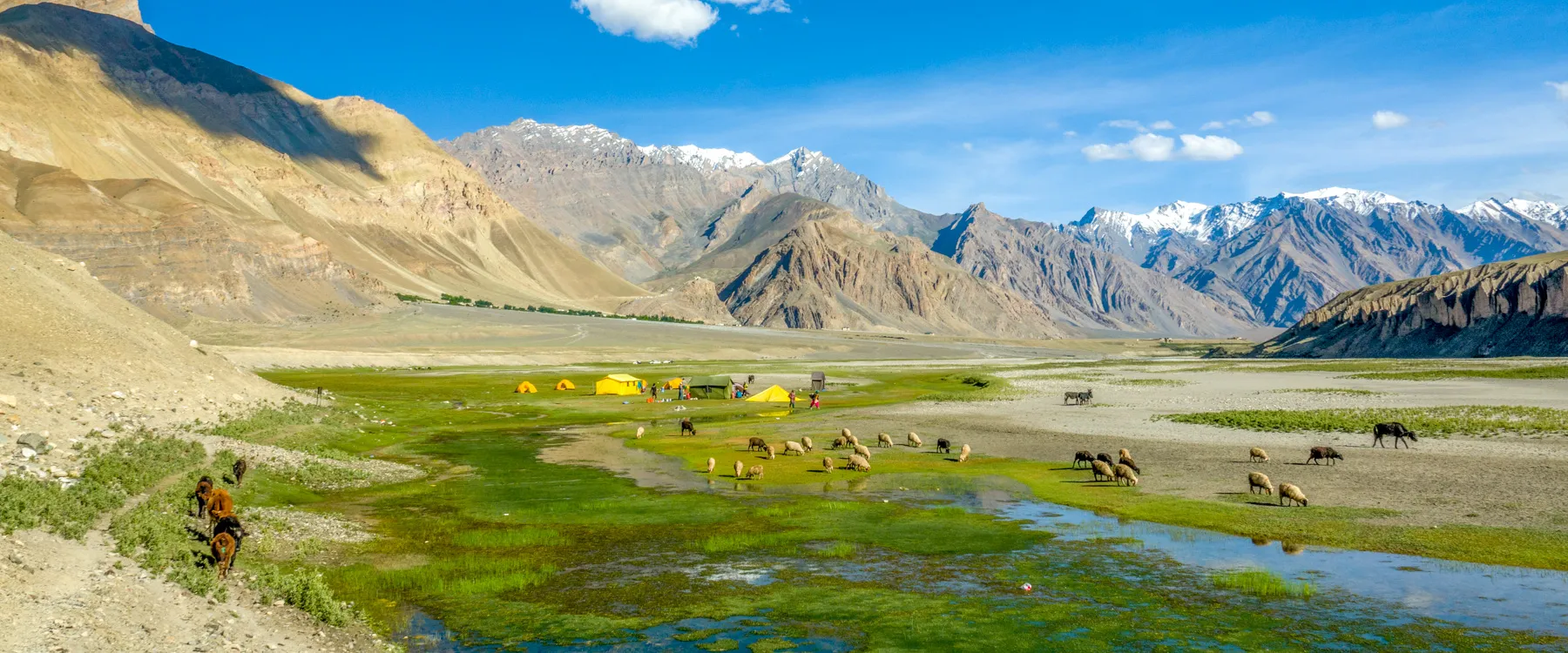 Ladakh Tso Morori Peldo Campsite India Kamzang Journeys