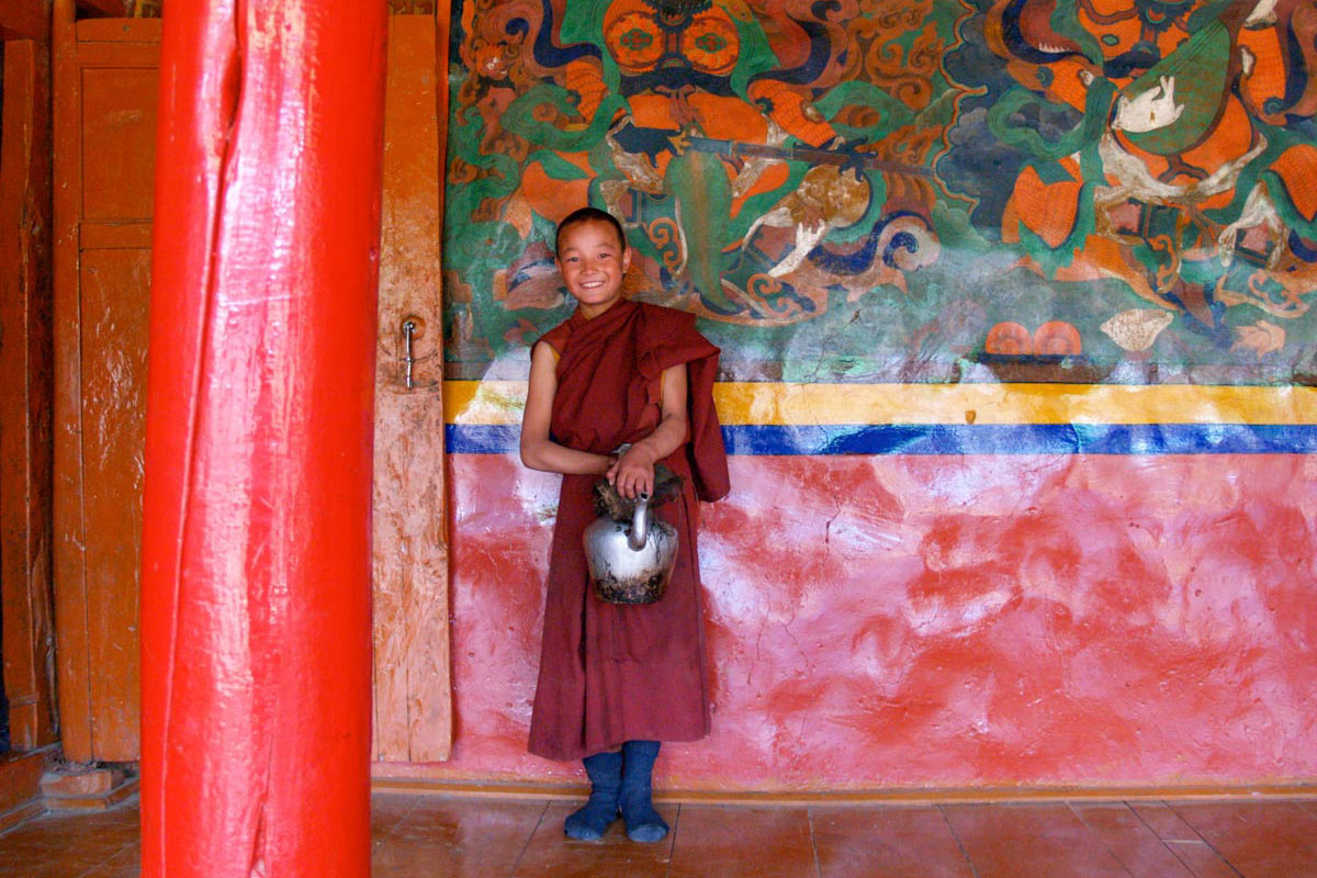 Valley of Flowers (Nubra Valley) - Himalayan Saga